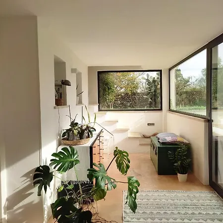 Casa Aquilino * Patu